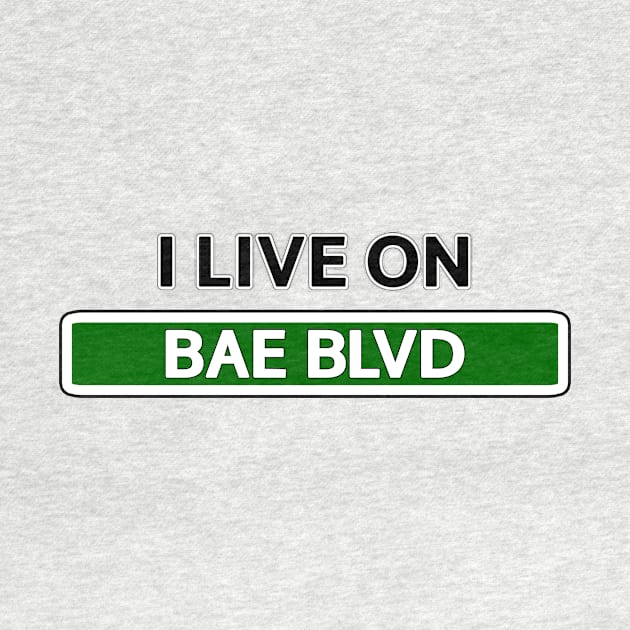 I live on Bae Blvd by Mookle